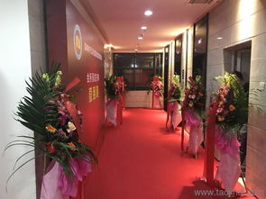 广东舞台设备 创新科技与艺术融合的璀璨舞台